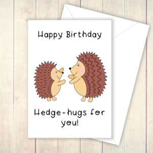 Hedgehog hugs birthday